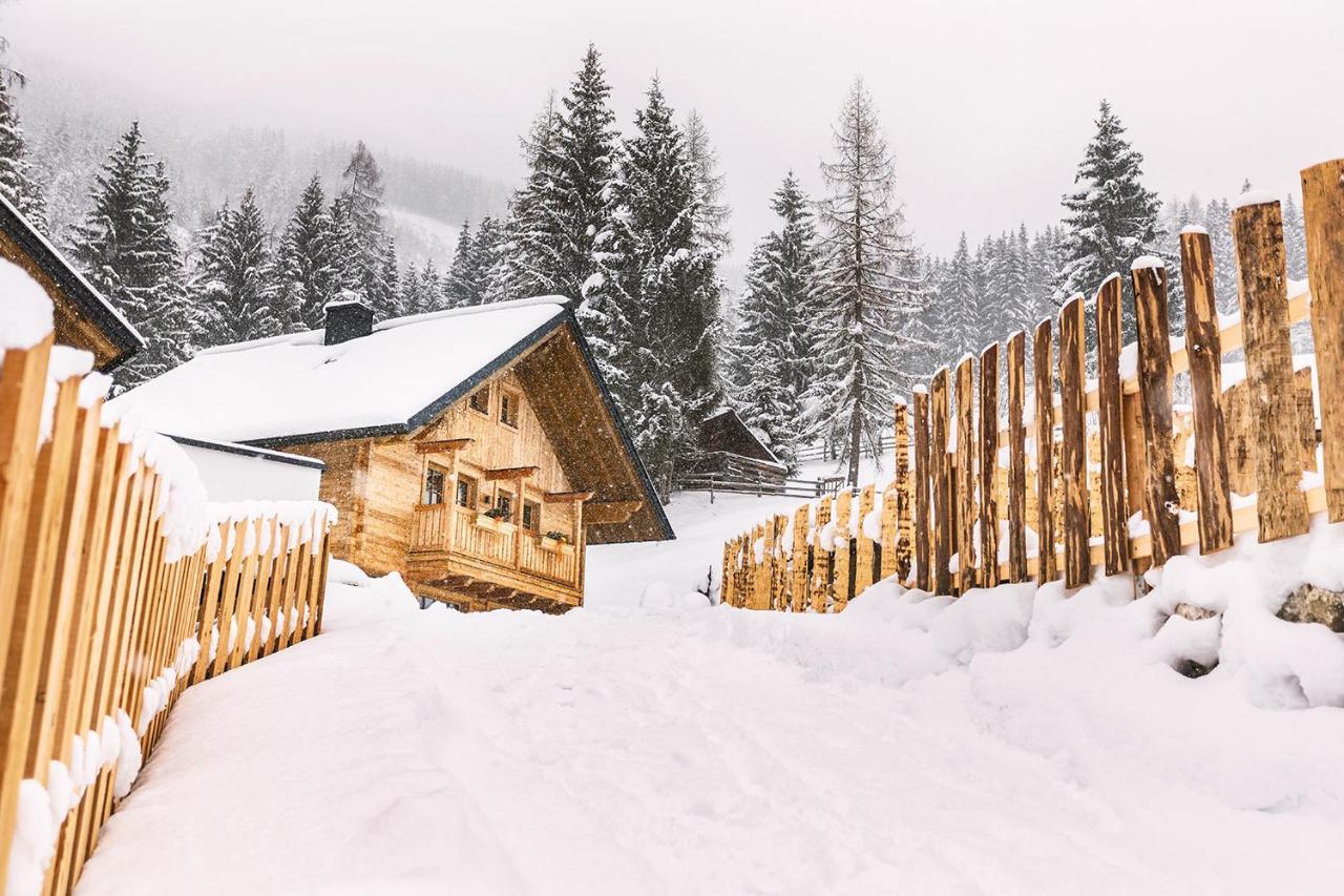 וואגריין Bergseegut Chalet Und Apartment מראה חיצוני תמונה