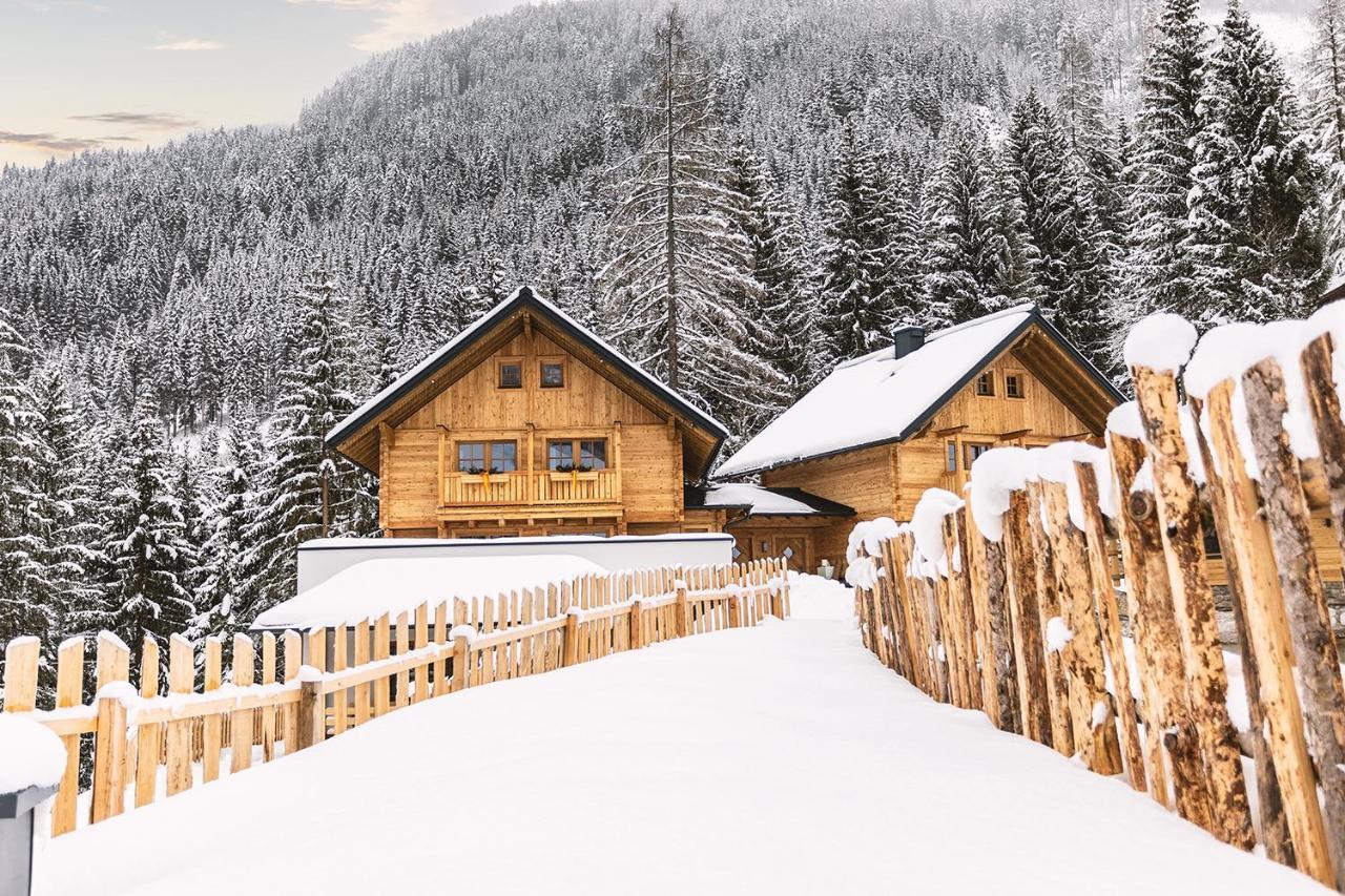 וואגריין Bergseegut Chalet Und Apartment מראה חיצוני תמונה
