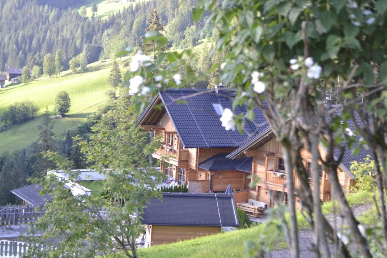 וואגריין Bergseegut Chalet Und Apartment מראה חיצוני תמונה